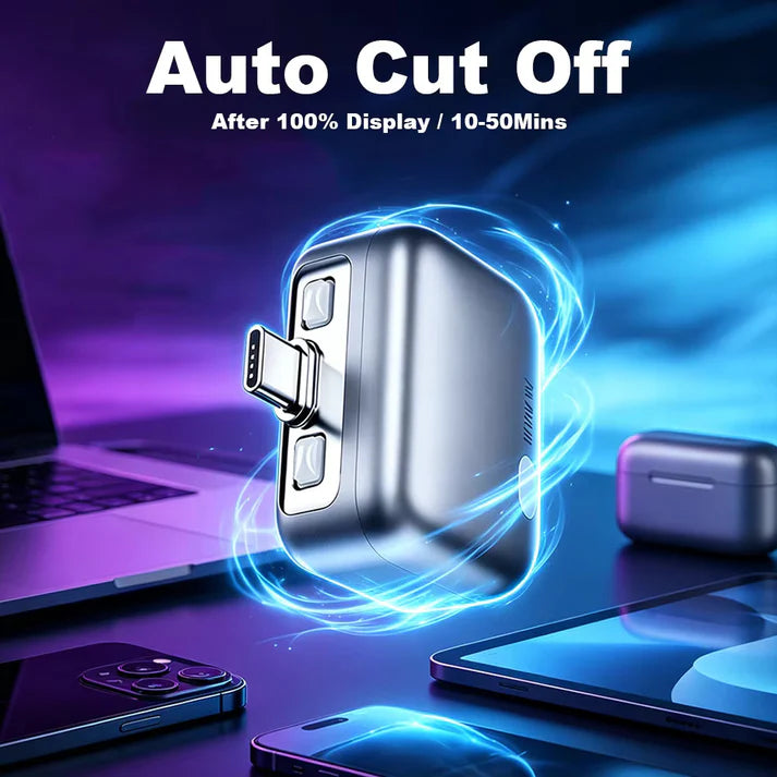 ChargeSafe Pro Auto Disconnect Charger